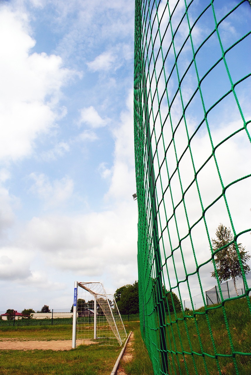 明了体育精 明了体育精