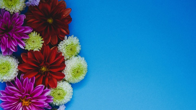 的重大步伐 的重大步伐